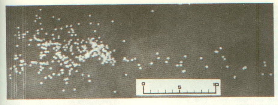 Рис. 5 Дробовой снаряд в 6 м от дульного среза; сверловка «усиленный чок». Направление стрельбы – влево.