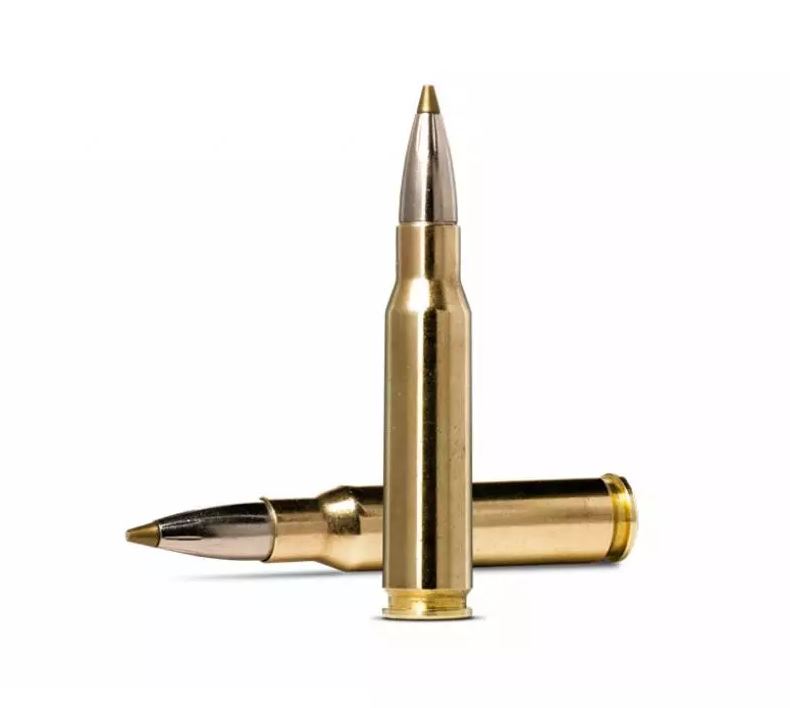 Патрон 308 Win. Norma Evosrtike 9г/139gr (20 штук)