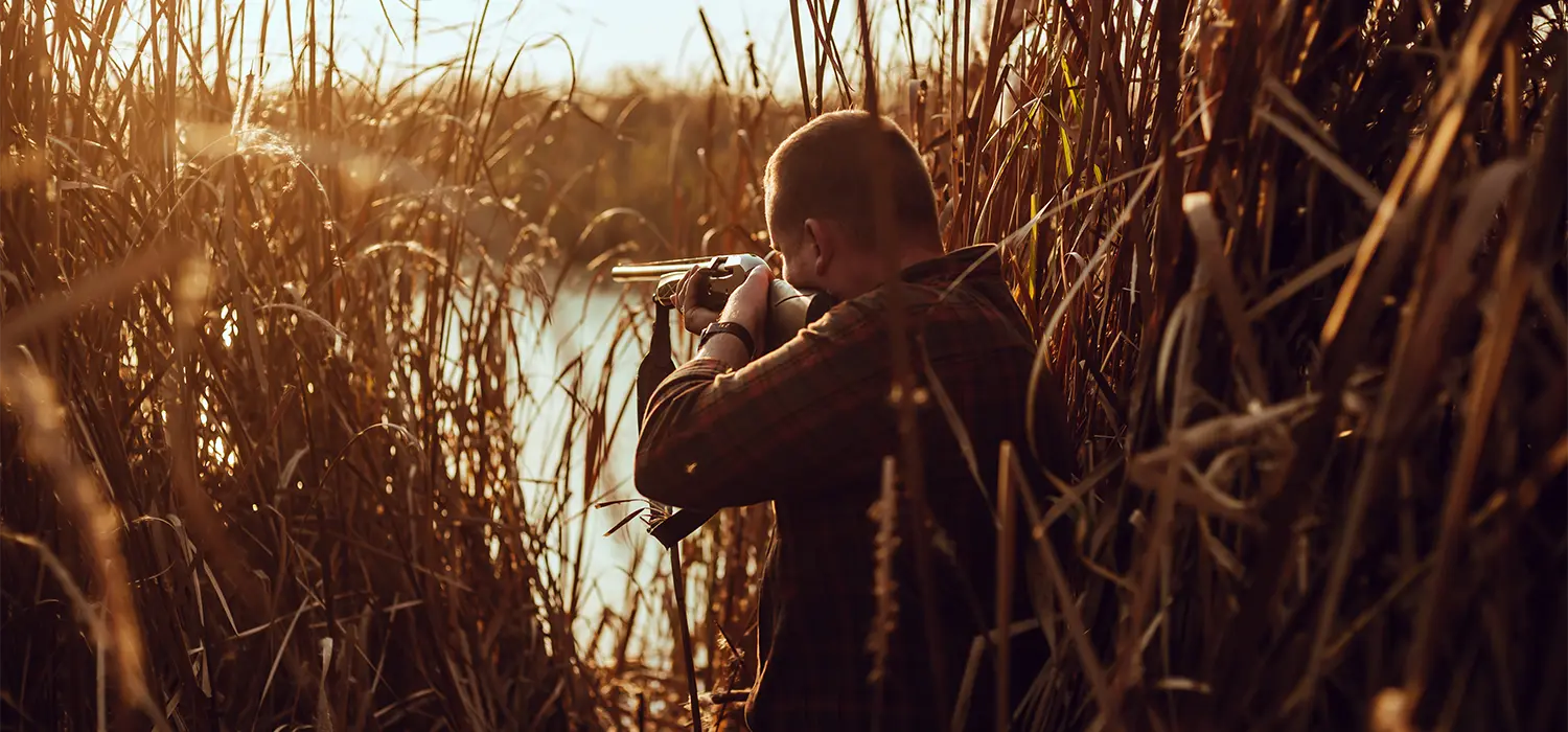 Весенняя охота 2026: сроки открытия, правила и экипировка