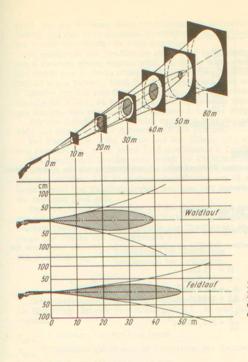 Рис. 7 Характер рассеивания дробового снопа при стрельбе из ствола со сверловкой «цилиндр» (вверху) и «чок» (внизу). 
