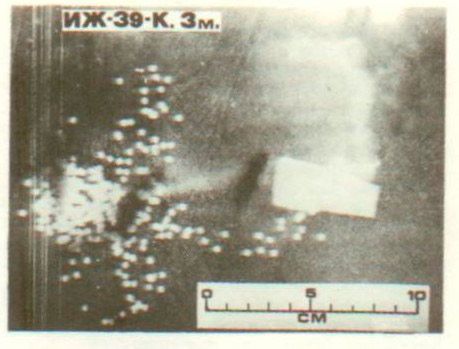 Рис. 2 Дробовой снаряд в 3 м от дульного среза; сверловка «цилиндр». Направление стрельбы – влево.