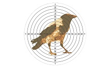 Мишень для пневматики 25 м цветная, рисунок ВОРОНА