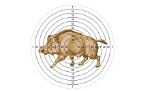 Мишень для пневматики 25 м цветная, рисунок КАБАН