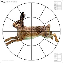 Мишень для пристрелки дробовых ружей 16-дольная Русак