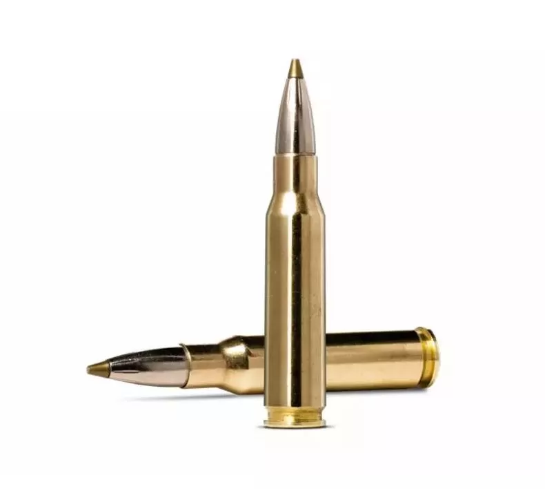 Патрон 308 Win. Norma Evosrtike 9г/139gr (20 штук)