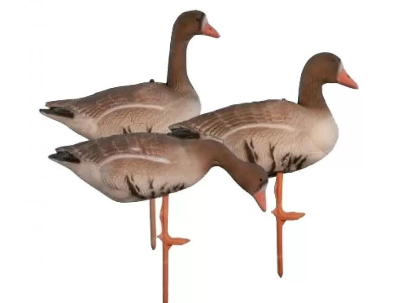 Birdland гусь белолобый комплект BR-052S/R/F-WFG