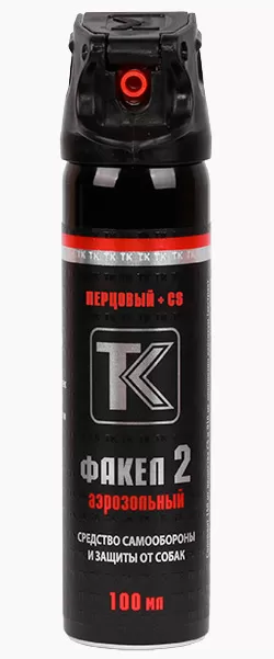 Газовый баллончик 100мл