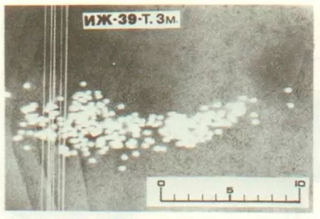 Рис. 10. Дробовой снаряд в 3 м от дульного среза, сверловка «усиленный чок».
