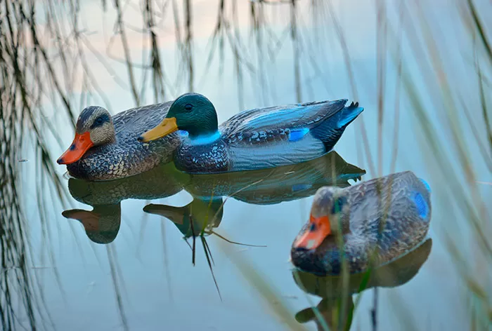Чучела утки