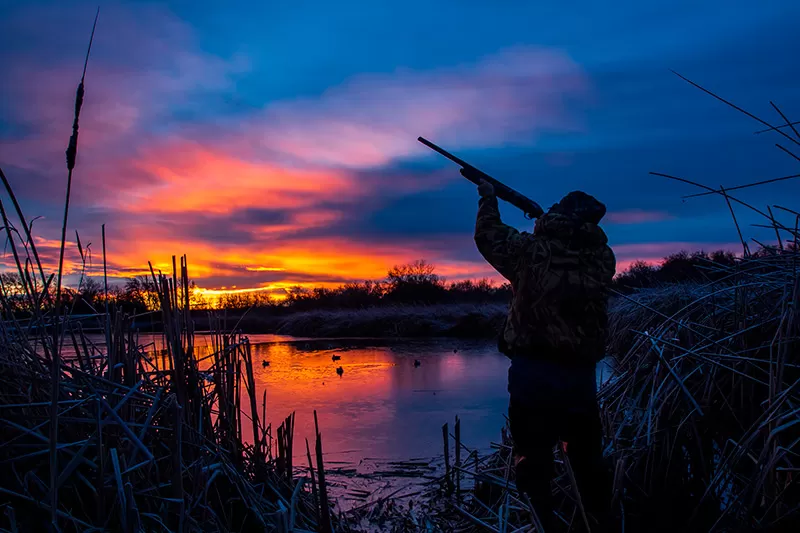 Весенняя охота