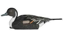 Birdland шилохвость селезень плавающий 7503