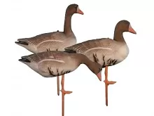 Birdland гусь белолобый комплект BR-052S/R/F-WFG