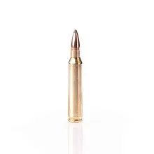 Патрон 223 Rem. Fiocchi SP 3.56г/55gr (50 штук)