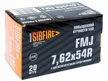 Патрон 7,62x54R НПЗ Повышенной кучности (2-х) FMJ 9.7г, томпак