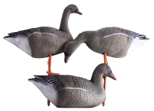 Birdland гусь гуменник комплект BR-042S/R/F